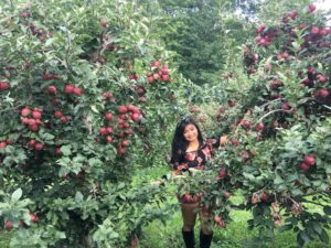 Horse Listener's Orchard Apple Picking